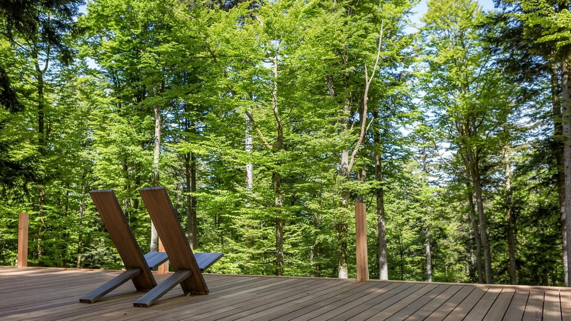 Wellness & Naturresort Reischlhof Wegscheid Hotel